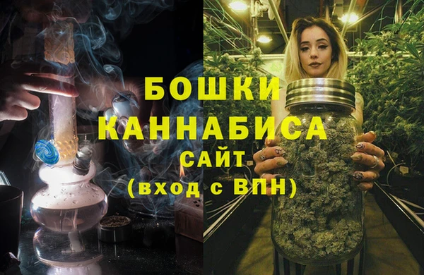 первитин Новодвинск
