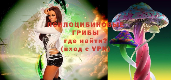 первитин Новодвинск